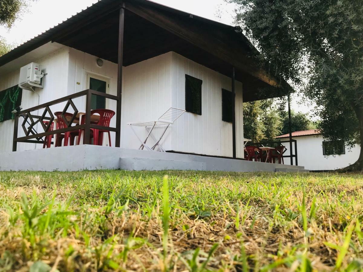 Funno Delle Noci Hotel Peschici Exterior foto
